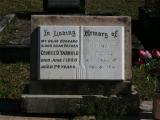 image of grave number 850856